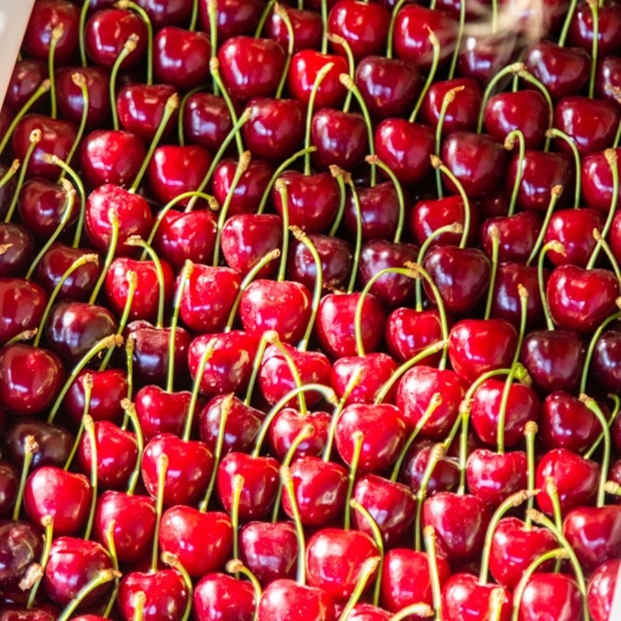 Premium Grade Export-Quality Cherries from Turkey – 1000 KG